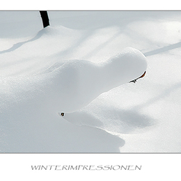 Winterimpressionen
