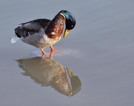 Das bin ich?
