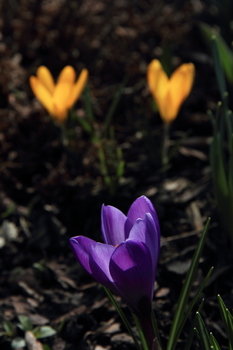 neulich im Garten