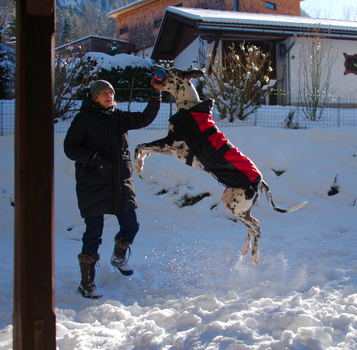 Flying Sykes :-)