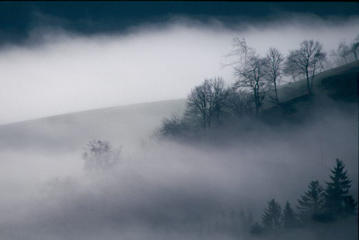 Nebelstimmung