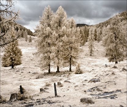 Karnische Alpen