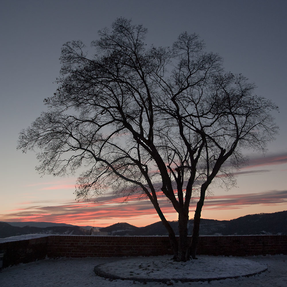 last evening light