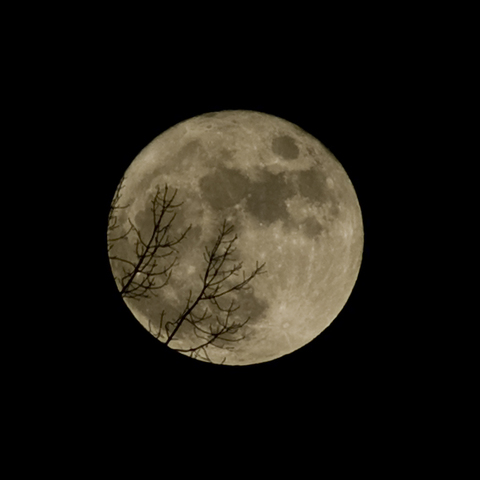 Full Moon