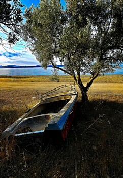 Gestrandet in Chalkidiki