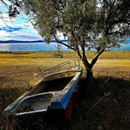 Gestrandet in Chalkidiki