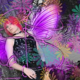 Fairy- Wings