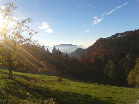 letzte Sonnenstrahlen