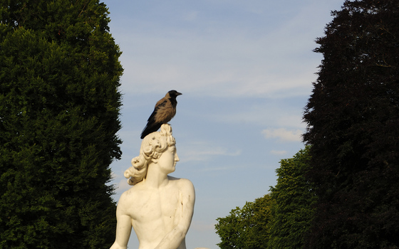 Potsdam