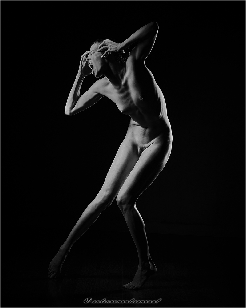 FIne Art Nude
