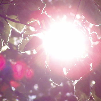 Feanors Licht