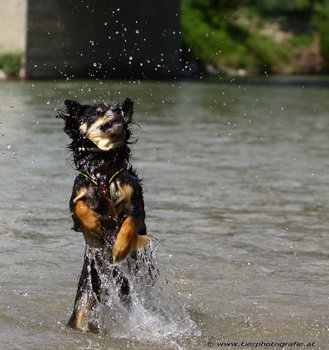 Wasserspiele