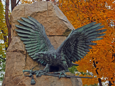 Adler am Zentralfriedhof