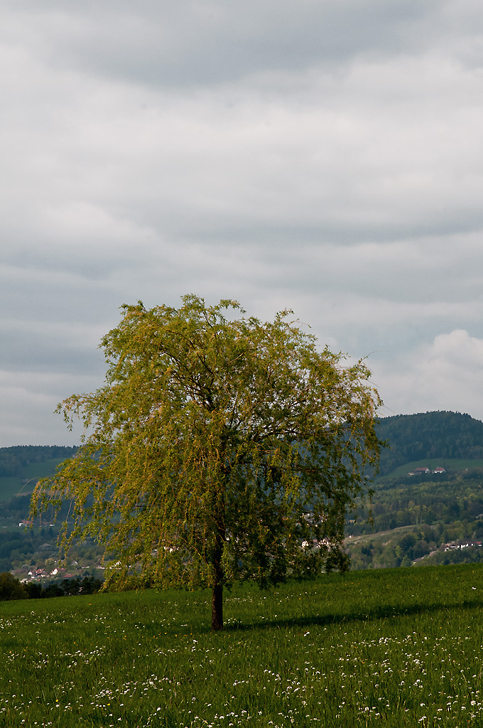 Allein mit mir...