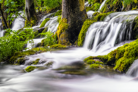 am wasser