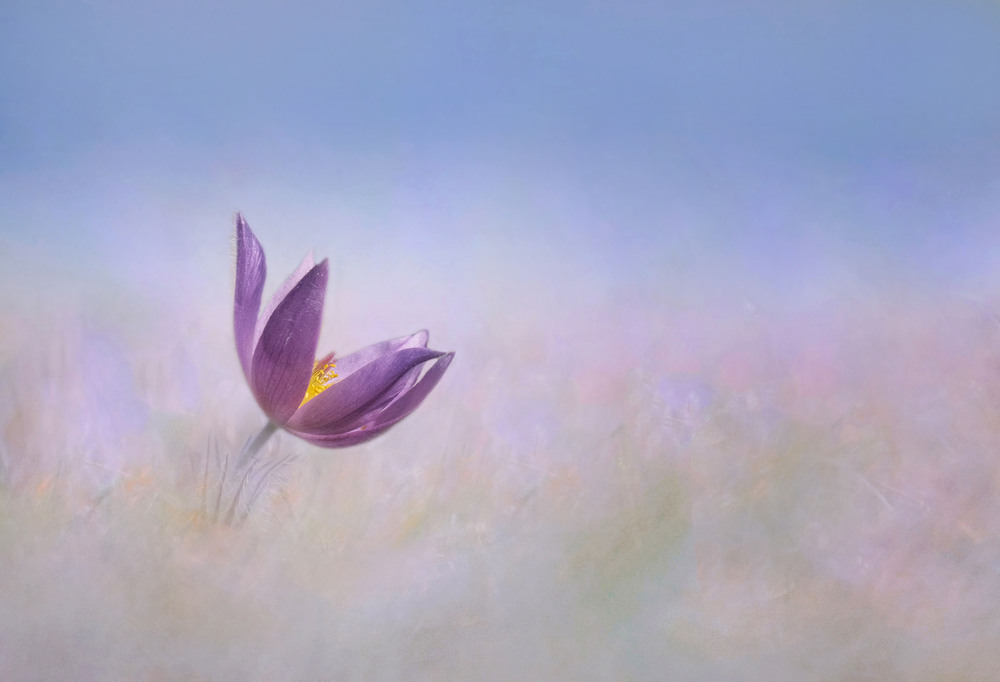 Frühling!