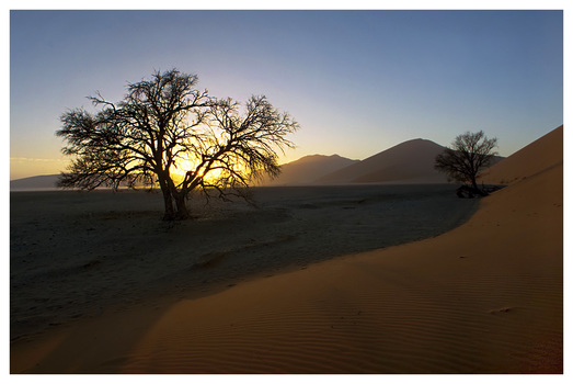 Sossus Vlei