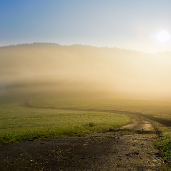 guten Morgen 3