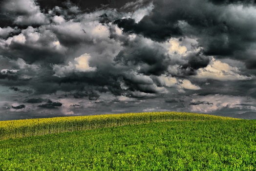 Gewitter