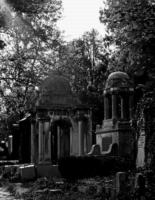 es lebe der zentralfriedhof6
