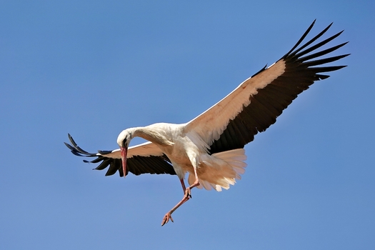 Landeanflug