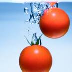 splash !! - Tomaten