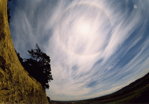 halo