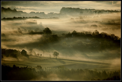 ~~ Im Nebel ~~