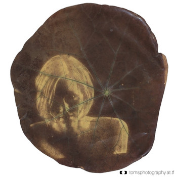 Experiment Laubblatt