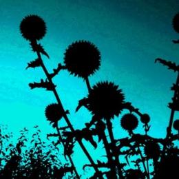 stachelig