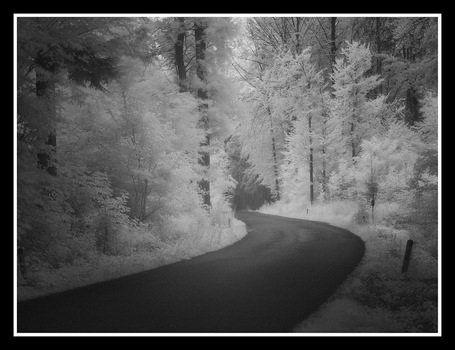 Waldstrasse