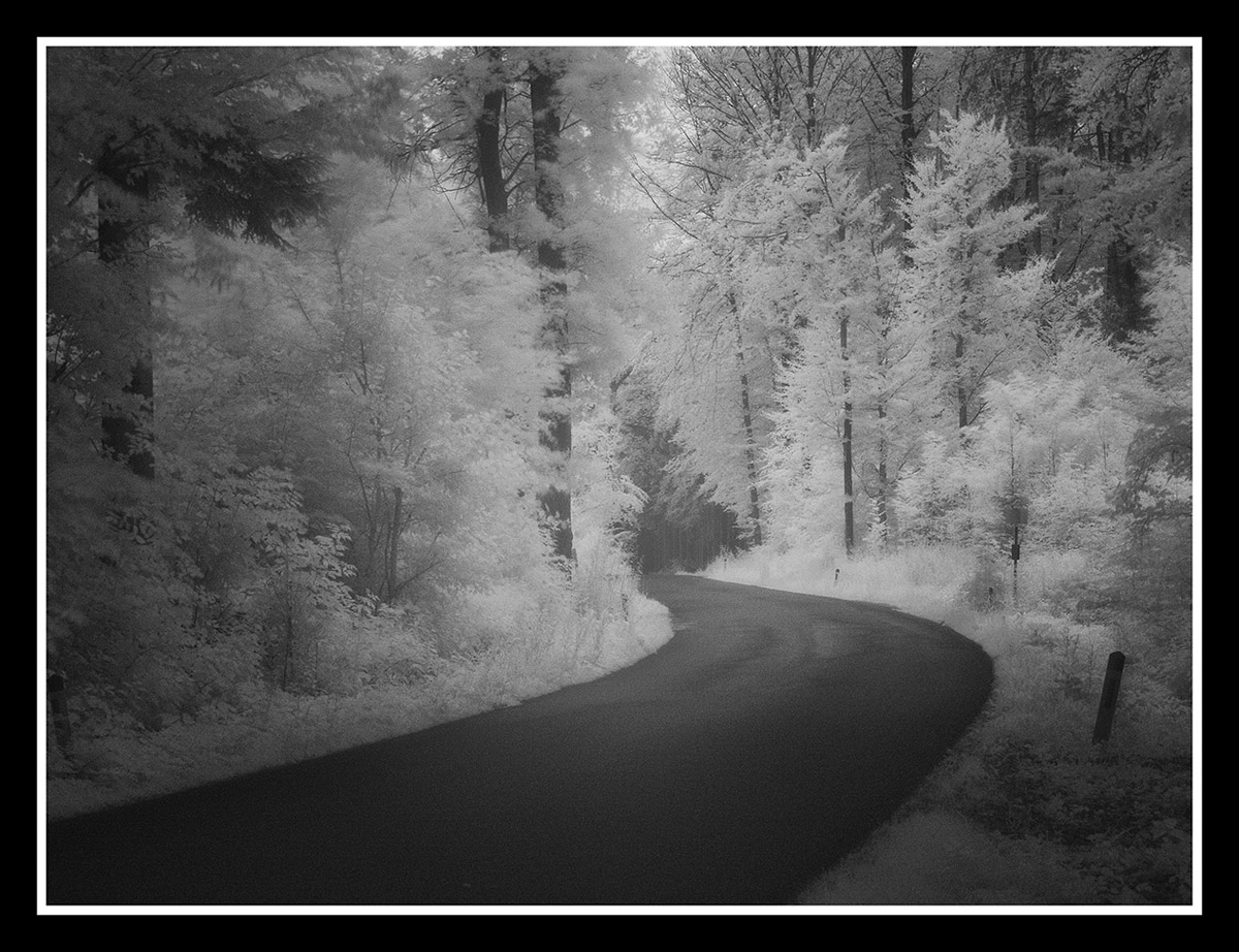 Waldstrasse