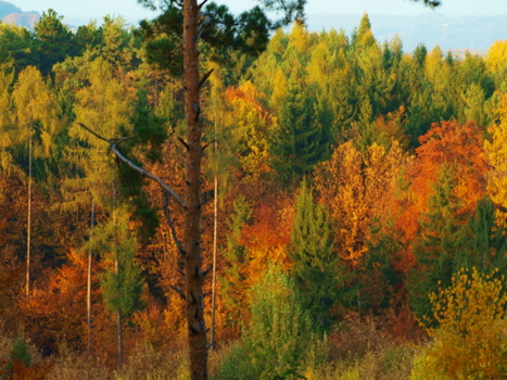 Herbstfarben