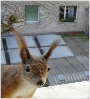 Jemand zu Hause???