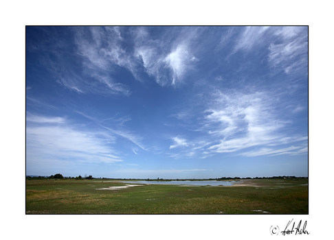 Naturparadies Seewinkel