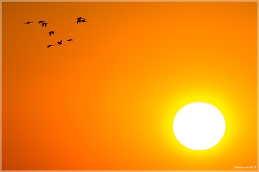 Der Sonne entgegen...