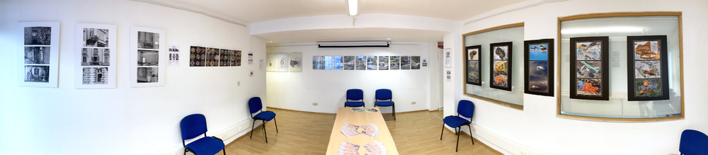 Vernissage Inselwelten