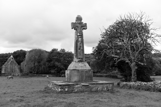 St. Tola's Cross