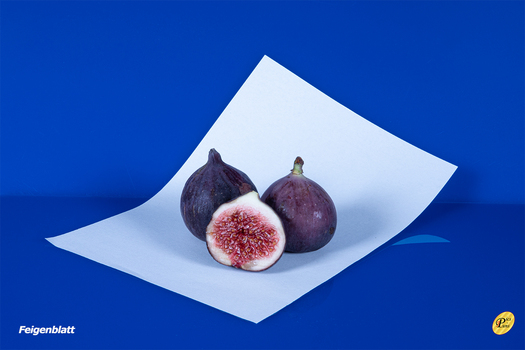 Feigenblatt