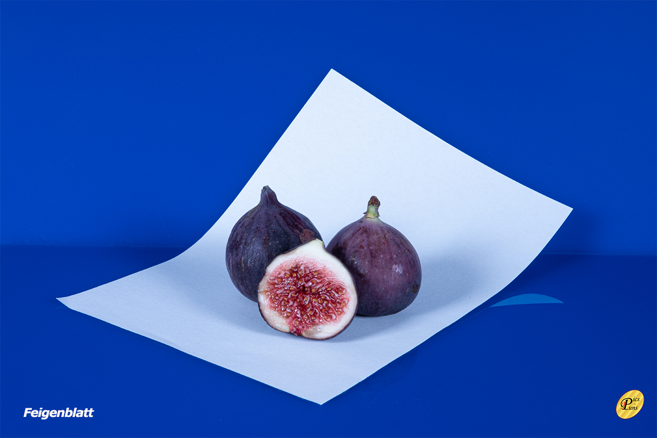 Feigenblatt