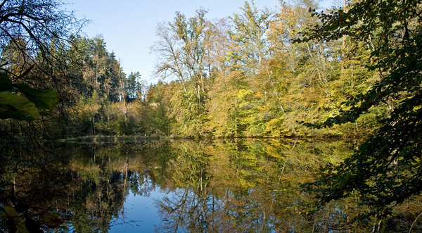 Herbstgesichter