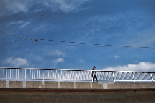 Bridgespotting