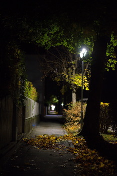Herbst 3