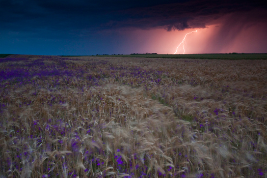 a storm is coming...