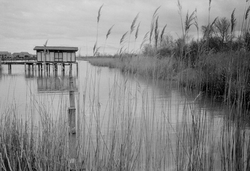 Neusiedlersee 1