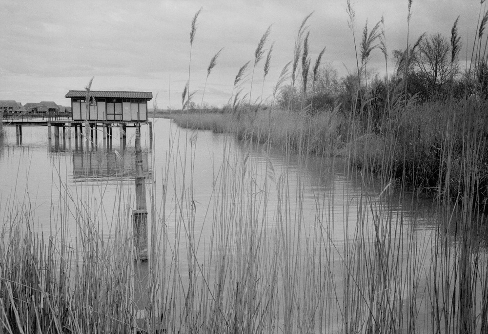 Neusiedlersee 1