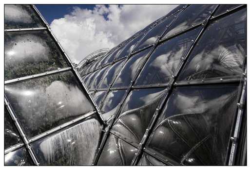 Palmenhaus II