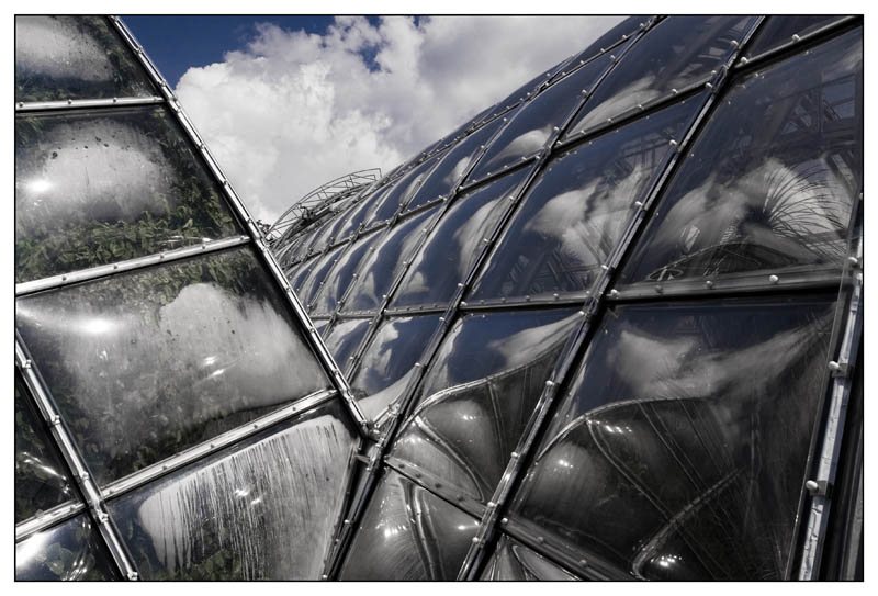 Palmenhaus II