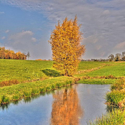 Herbstfarben