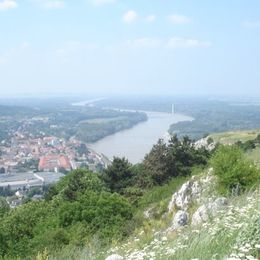 Blick vom Braunsberg